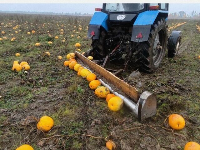 Другая Другая, объемом двигателя 0 л и пробегом 0 тыс. км за 714 $, фото 2 на Automoto.ua