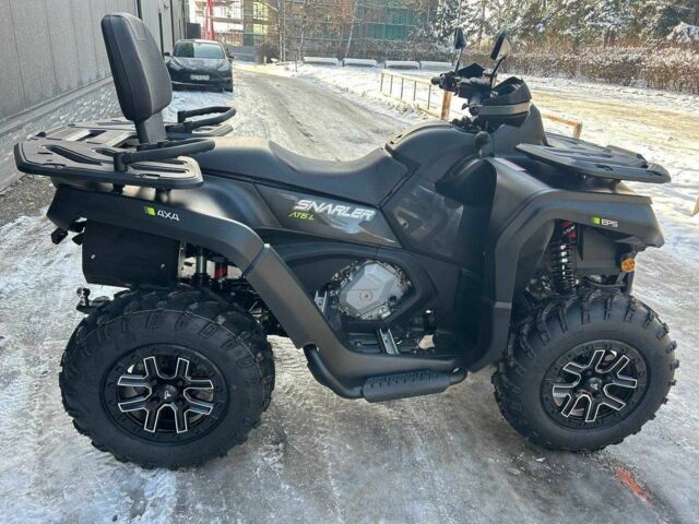 Інша Інша, об'ємом двигуна 0.6 л та пробігом 0 тис. км за 9250 $, фото 6 на Automoto.ua