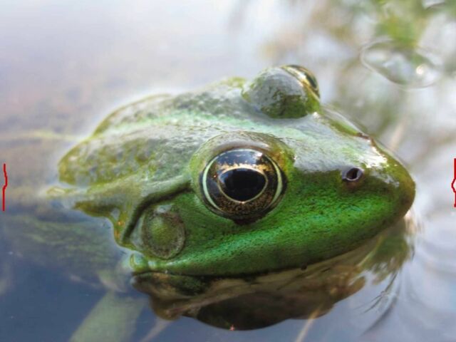 Другая Другая, объемом двигателя 0 л и пробегом 0 тыс. км за 1150 $, фото 19 на Automoto.ua