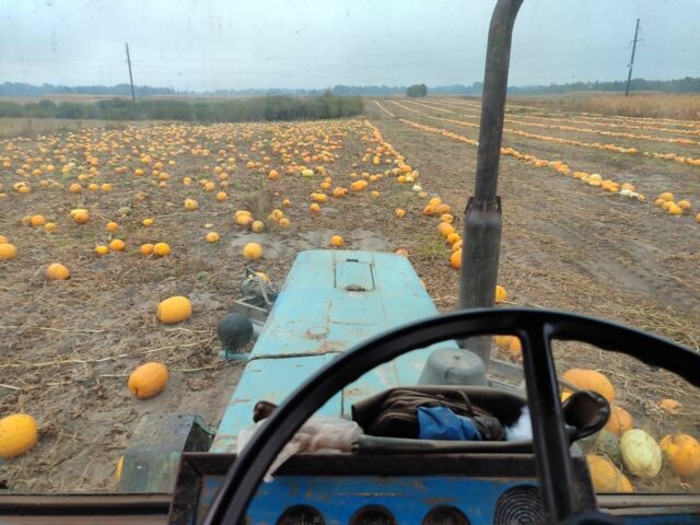 Другая Другая, объемом двигателя 0 л и пробегом 0 тыс. км за 1200 $, фото 1 на Automoto.ua