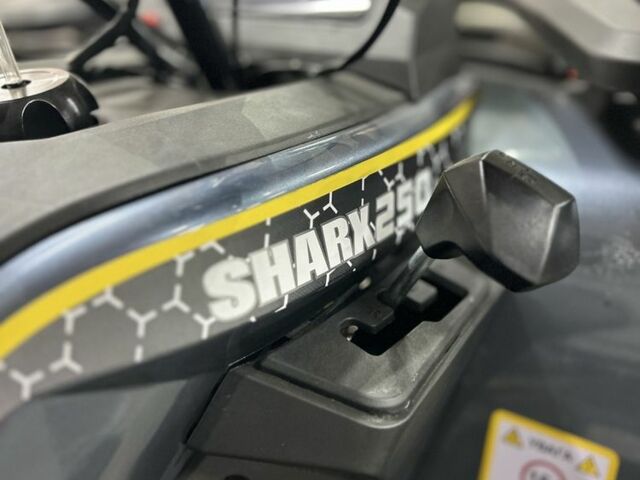 Другая Другая, объемом двигателя 0.25 л и пробегом 0 тыс. км за 2449 $, фото 13 на Automoto.ua