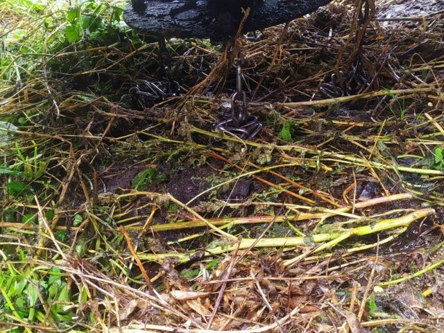 Інша Інша, об'ємом двигуна 0 л та пробігом 0 тис. км за 240 $, фото 3 на Automoto.ua