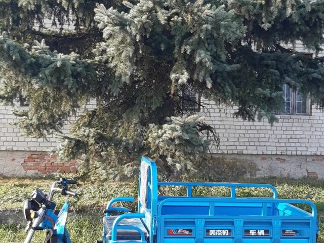 Другая Другая, объемом двигателя 0 л и пробегом 0 тыс. км за 1589 $, фото 12 на Automoto.ua