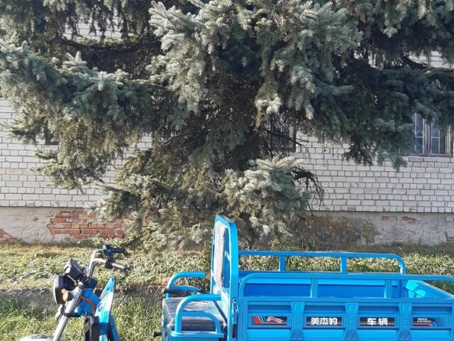 Другая Другая, объемом двигателя 0 л и пробегом 0 тыс. км за 1589 $, фото 11 на Automoto.ua