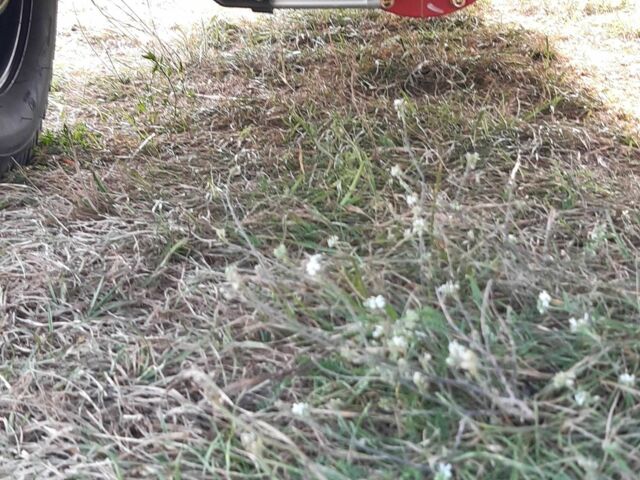 Другая Другая, объемом двигателя 0 л и пробегом 0 тыс. км за 1589 $, фото 14 на Automoto.ua