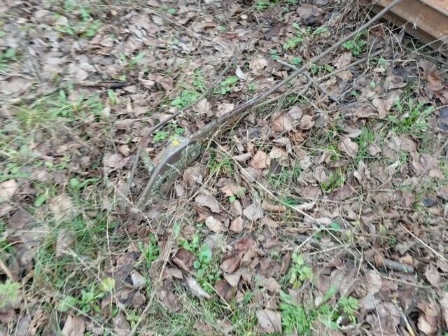 Другая Другая, объемом двигателя 0 л и пробегом 0 тыс. км за 357 $, фото 2 на Automoto.ua