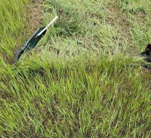 Другая Другая, объемом двигателя 0 л и пробегом 0 тыс. км за 412 $, фото 4 на Automoto.ua