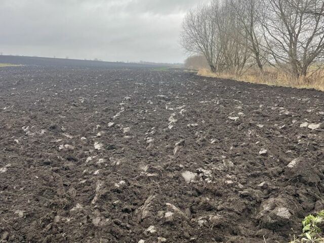 Другая Другая, объемом двигателя 0 л и пробегом 0 тыс. км за 3800 $, фото 6 на Automoto.ua