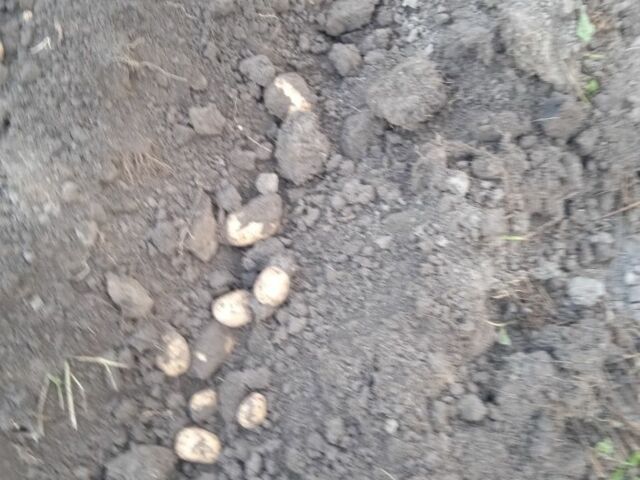 Другая Другая, объемом двигателя 0 л и пробегом 0 тыс. км за 61 $, фото 5 на Automoto.ua