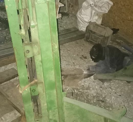 Інша Інша, об'ємом двигуна 0 л та пробігом 0 тис. км за 1500 $, фото 3 на Automoto.ua