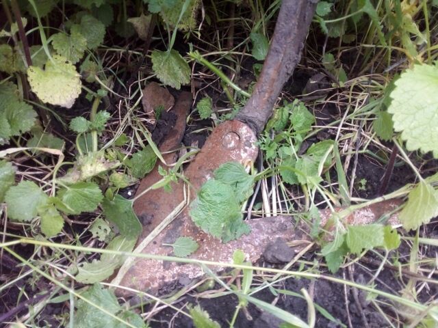 Другая Другая, объемом двигателя 0 л и пробегом 0 тыс. км за 1063 $, фото 2 на Automoto.ua