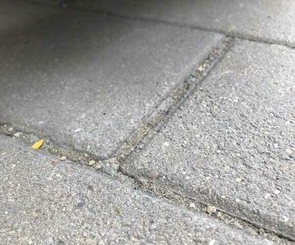 Інша Megane Scenic, об'ємом двигуна 6 л та пробігом 0 тис. км за 2611 $, фото 7 на Automoto.ua