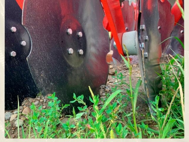 Другая Megane Scenic, объемом двигателя 14.86 л и пробегом 0 тыс. км за 23881 $, фото 5 на Automoto.ua