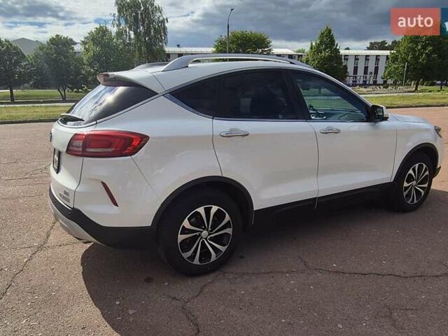 Белый ФАВ X80, объемом двигателя 2 л и пробегом 130 тыс. км за 11499 $, фото 5 на Automoto.ua