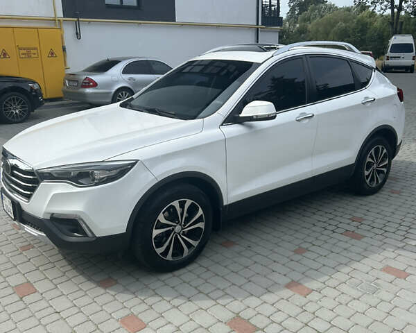 Білий ФАВ X80, об'ємом двигуна 2 л та пробігом 18 тис. км за 12000 $, фото 1 на Automoto.ua