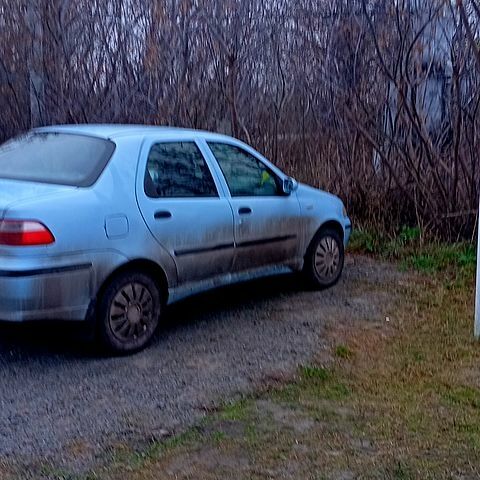 Фиат Альбеа, объемом двигателя 1.2 л и пробегом 162 тыс. км за 1800 $, фото 2 на Automoto.ua