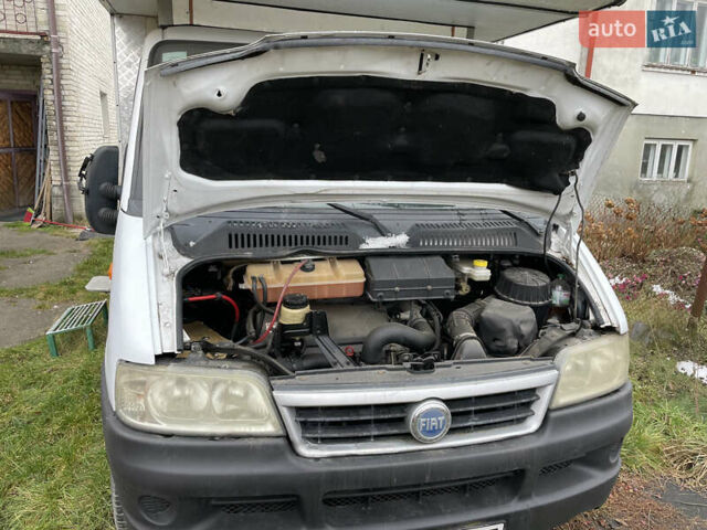 Белый Фиат Дукато, объемом двигателя 2.3 л и пробегом 180 тыс. км за 16300 $, фото 5 на Automoto.ua