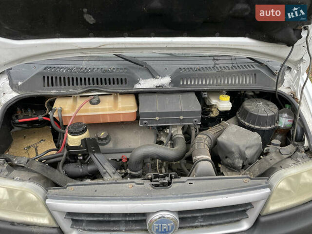 Белый Фиат Дукато, объемом двигателя 2.3 л и пробегом 180 тыс. км за 16300 $, фото 6 на Automoto.ua
