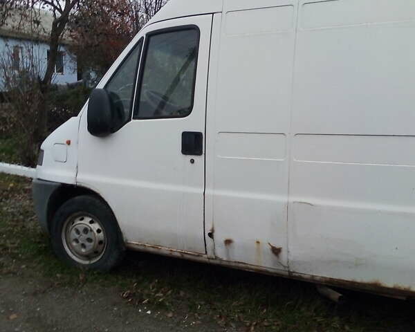 Белый Фиат Дукато, объемом двигателя 2.8 л и пробегом 250 тыс. км за 700 $, фото 3 на Automoto.ua