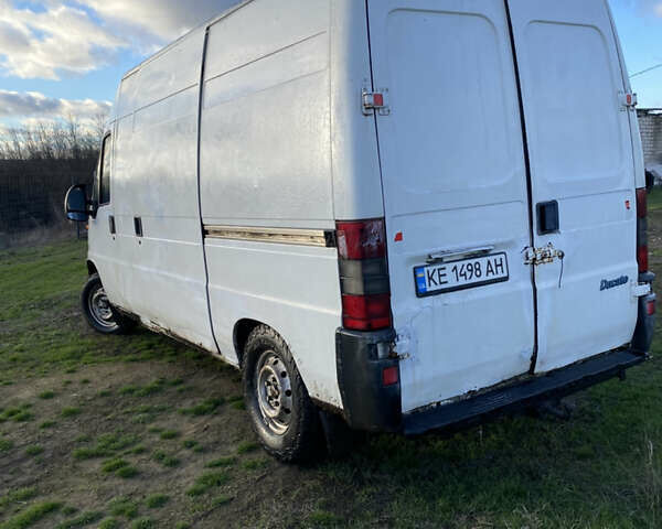 Белый Фиат Дукато, объемом двигателя 2.8 л и пробегом 300 тыс. км за 2200 $, фото 3 на Automoto.ua