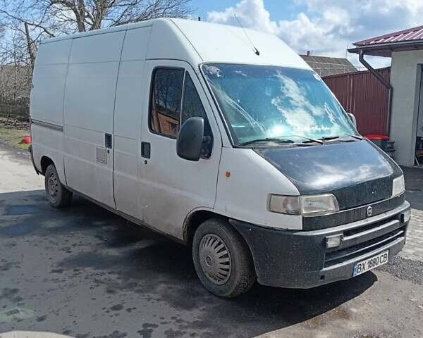 Фиат Дукато 2001 в Славуте на Automoto.ua Белый Фиат Дукато, объемом двигателя 2.8 л и пробегом 500 тыс. км за 2500 $, фото 4 на Automoto.ua