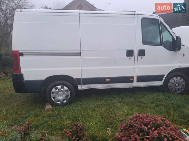 Білий Фіат Дукато, об'ємом двигуна 2.3 л та пробігом 500 тис. км за 2800 $, фото 1 на Automoto.ua