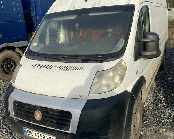 Білий Фіат Дукато, об'ємом двигуна 2.3 л та пробігом 317 тис. км за 6600 $, фото 1 на Automoto.ua