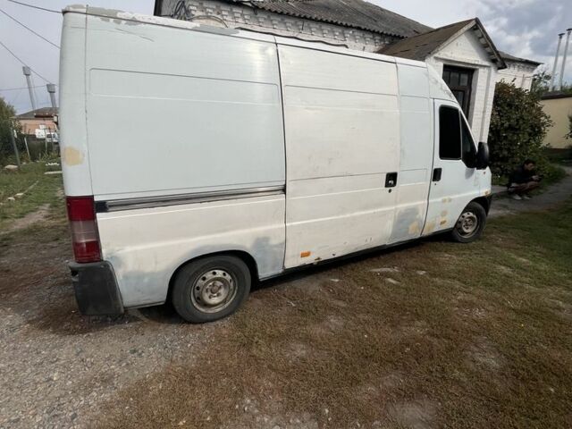 Білий Фіат Дукато, об'ємом двигуна 2.8 л та пробігом 2 тис. км за 2650 $, фото 5 на Automoto.ua