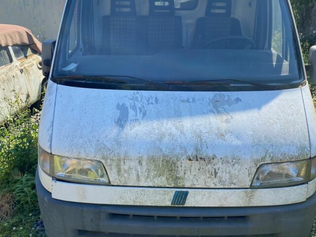 Белый Фиат Дукато, объемом двигателя 2.5 л и пробегом 200 тыс. км за 953 $, фото 9 на Automoto.ua