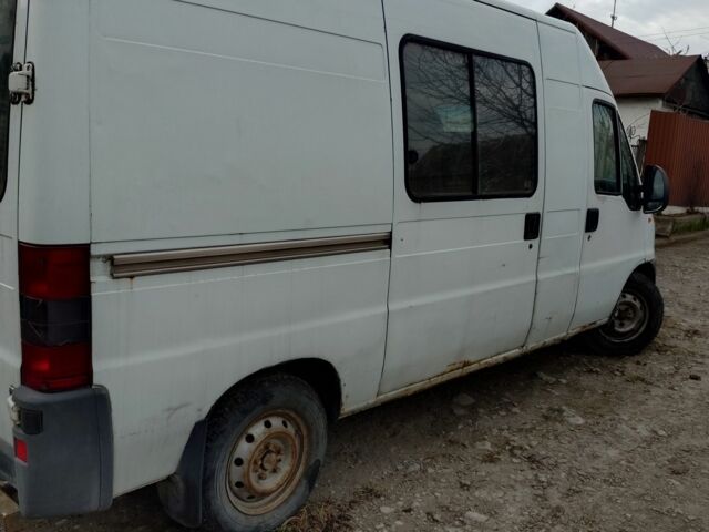 Фиат Дукато 1995 в Днепре (Днепропетровске) на Automoto.ua Белый Фиат Дукато, объемом двигателя 2.5 л и пробегом 100 тыс. км за 3000 $, фото 1 на Automoto.ua