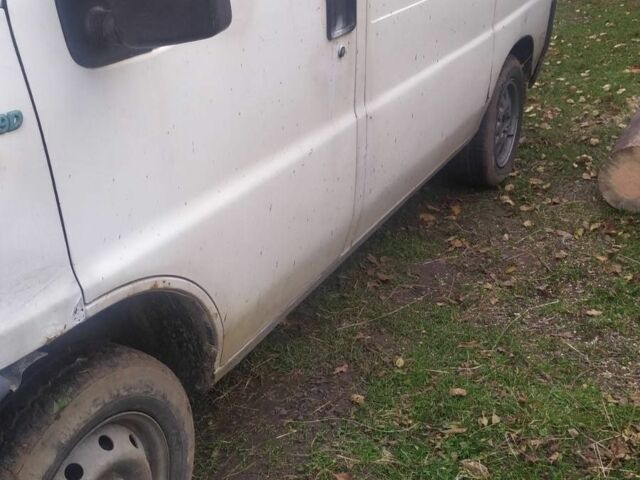 Білий Фіат Дукато, об'ємом двигуна 1.9 л та пробігом 1 тис. км за 1400 $, фото 3 на Automoto.ua