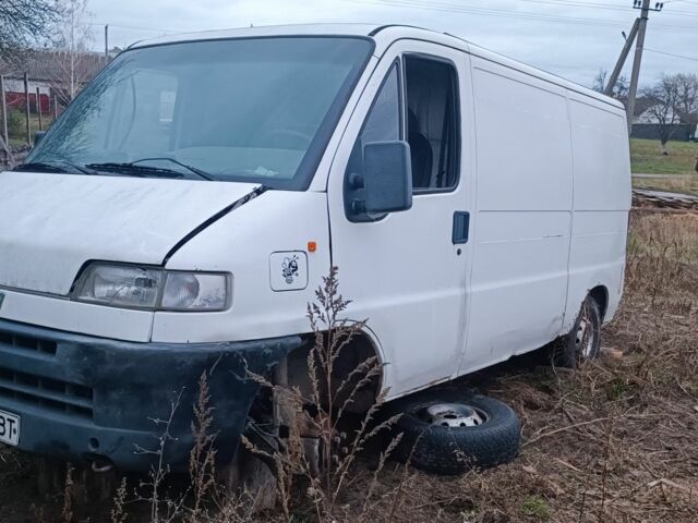 Белый Фиат Дукато, объемом двигателя 2.5 л и пробегом 16 тыс. км за 947 $, фото 1 на Automoto.ua