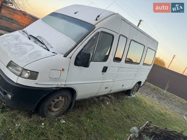 Белый Фиат Дукато, объемом двигателя 2.8 л и пробегом 320 тыс. км за 2250 $, фото 2 на Automoto.ua