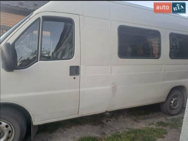 Белый Фиат Дукато, объемом двигателя 2.5 л и пробегом 500 тыс. км за 2800 $, фото 3 на Automoto.ua