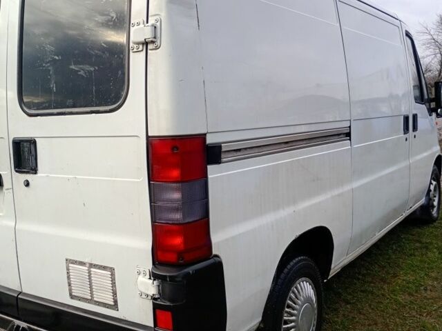 Белый Фиат Дукато, объемом двигателя 3 л и пробегом 150 тыс. км за 3500 $, фото 2 на Automoto.ua