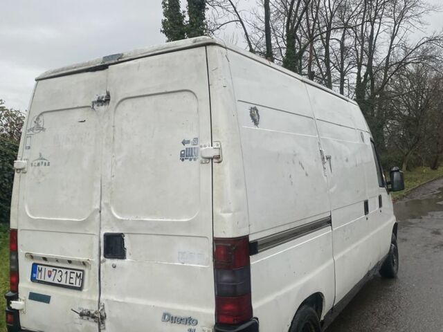 Белый Фиат Дукато, объемом двигателя 0 л и пробегом 387 тыс. км за 1000 $, фото 3 на Automoto.ua