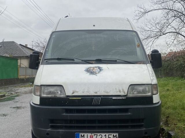 Белый Фиат Дукато, объемом двигателя 0 л и пробегом 387 тыс. км за 1000 $, фото 1 на Automoto.ua