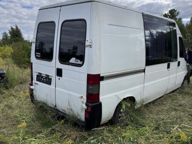 Білий Фіат Дукато, об'ємом двигуна 2.8 л та пробігом 370 тис. км за 1500 $, фото 4 на Automoto.ua