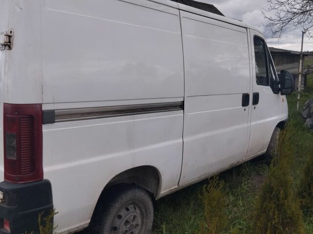 Білий Фіат Дукато, об'ємом двигуна 2 л та пробігом 2 тис. км за 3400 $, фото 4 на Automoto.ua