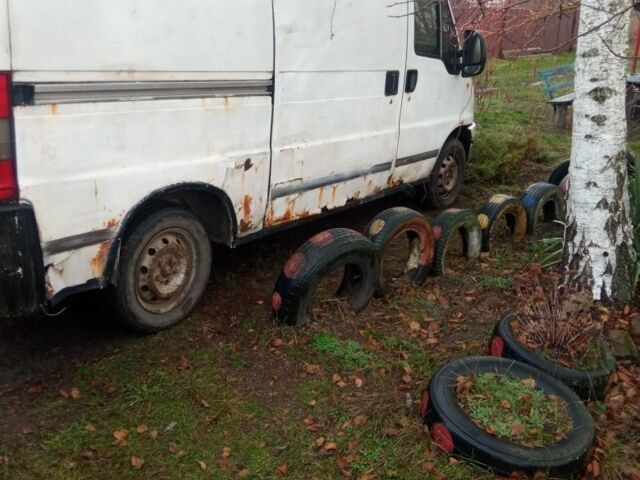 Белый Фиат Дукато, объемом двигателя 0 л и пробегом 5 тыс. км за 1450 $, фото 2 на Automoto.ua