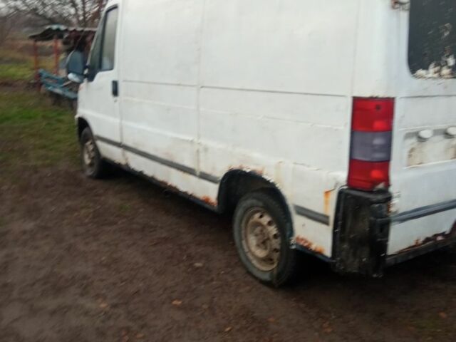 Белый Фиат Дукато, объемом двигателя 0 л и пробегом 5 тыс. км за 1450 $, фото 1 на Automoto.ua