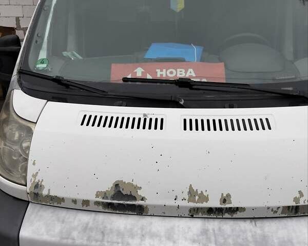 Білий Фіат Дукато, об'ємом двигуна 2.3 л та пробігом 500 тис. км за 6000 $, фото 1 на Automoto.ua