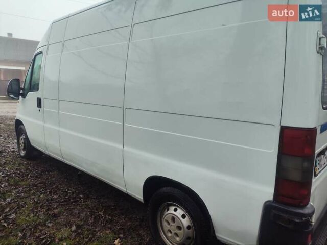 Белый Фиат Дукато, объемом двигателя 2.8 л и пробегом 300 тыс. км за 3500 $, фото 3 на Automoto.ua