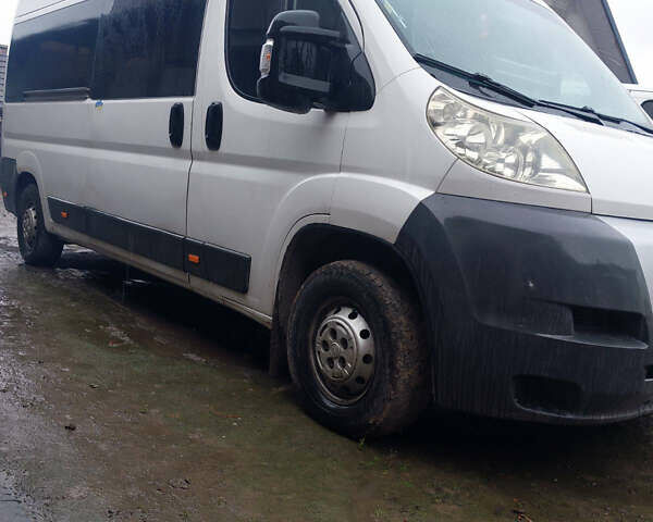 Белый Фиат Дукато, объемом двигателя 2.3 л и пробегом 500 тыс. км за 6850 $, фото 1 на Automoto.ua