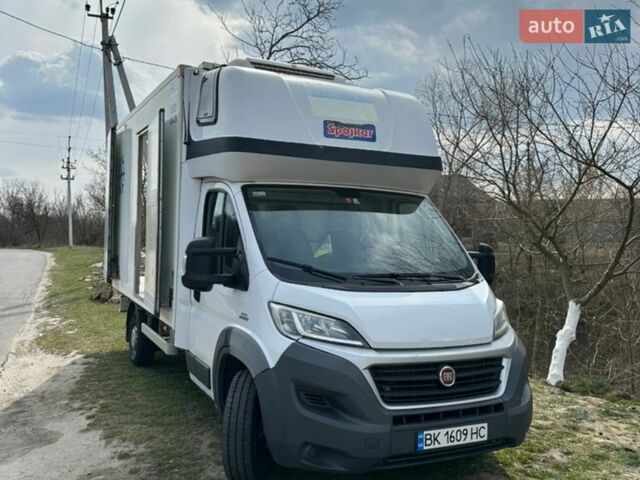 Белый Фиат Дукато, объемом двигателя 3 л и пробегом 250 тыс. км за 18500 $, фото 17 на Automoto.ua