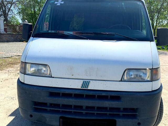 Белый Фиат Дукато, объемом двигателя 2.8 л и пробегом 0 тыс. км за 3200 $, фото 5 на Automoto.ua