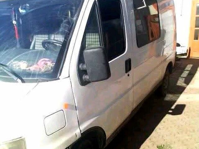 Белый Фиат Дукато, объемом двигателя 2.4 л и пробегом 0 тыс. км за 2000 $, фото 6 на Automoto.ua