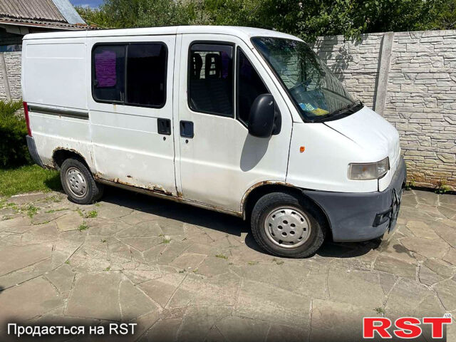 Белый Фиат Дукато, объемом двигателя 2.8 л и пробегом 335 тыс. км за 2450 $, фото 1 на Automoto.ua