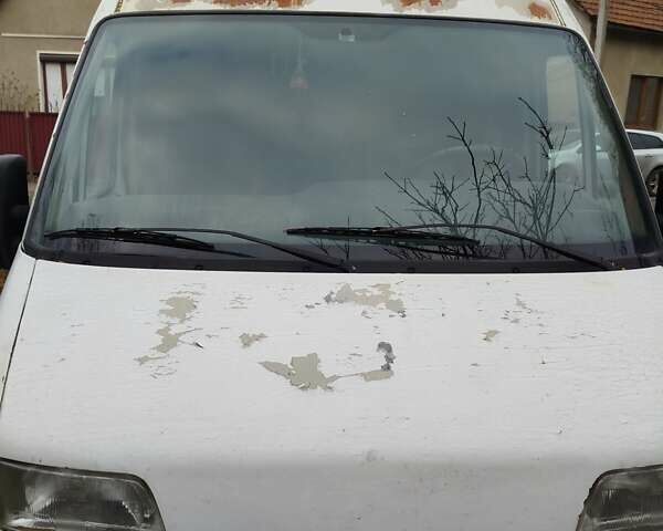 Белый Фиат Дукато, объемом двигателя 0 л и пробегом 500 тыс. км за 1700 $, фото 15 на Automoto.ua