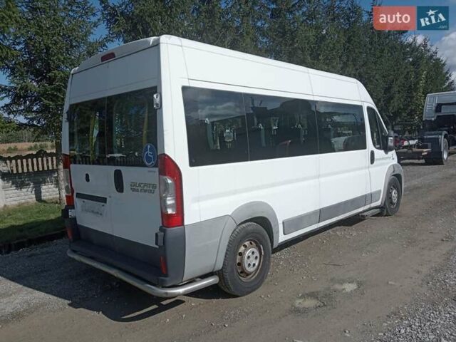 Белый Фиат Дукато, объемом двигателя 0 л и пробегом 280 тыс. км за 15500 $, фото 6 на Automoto.ua